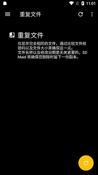 SD女佣专业版(SD Maid Pro)