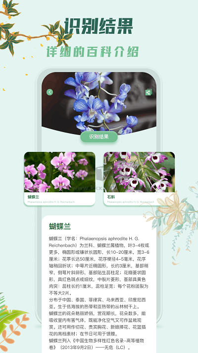 识花君app手机官方版