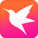 迅雷直播2026官方版