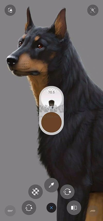 sketchbook安卓版2026