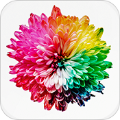 抖屏动态壁纸app最新版