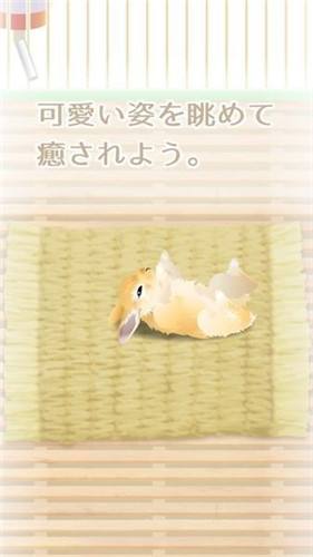 治愈系兔子养成电脑版安装教程轻松上手指南
