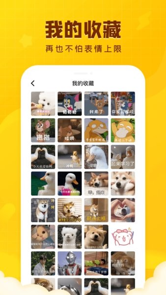 闪萌表情官方软件