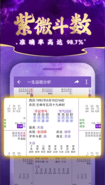 紫微斗数排盘软件