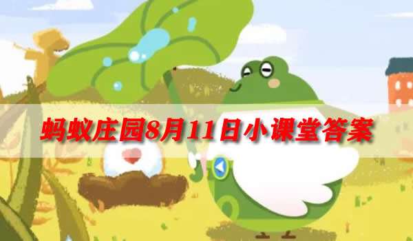 蚂蚁庄园8月11日海洋知识问答海绵在海里是植物还是动物？