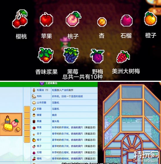 星露谷物语蘑菇洞VS果蝠洞，洞穴选择全攻略