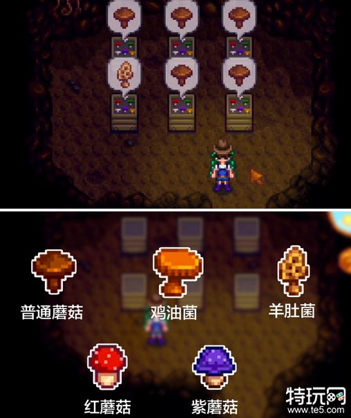 星露谷物语蘑菇洞VS果蝠洞，洞穴选择全攻略