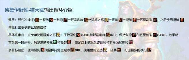 魔兽世界WLK猫德玩法攻略天赋加点与输出手法详解