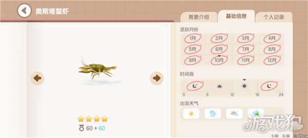 心动小镇鱼类图鉴钓鱼爱好者必备的详尽攻略