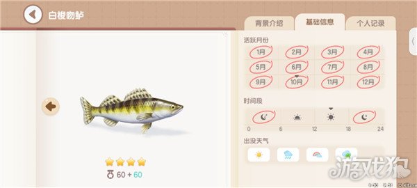 心动小镇鱼类图鉴钓鱼爱好者必备的详尽攻略