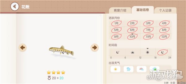心动小镇鱼类图鉴钓鱼爱好者必备的详尽攻略