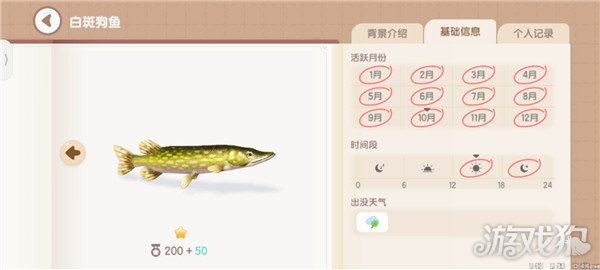 心动小镇鱼类图鉴钓鱼爱好者必备的详尽攻略