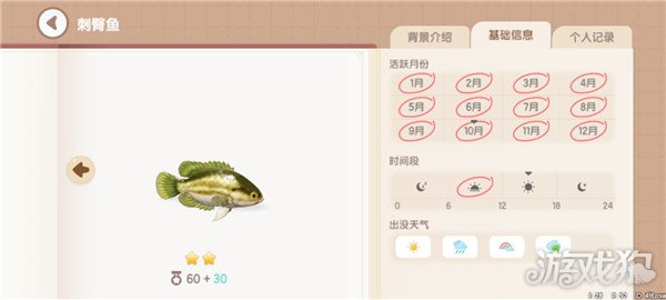 心动小镇鱼类图鉴钓鱼爱好者必备的详尽攻略