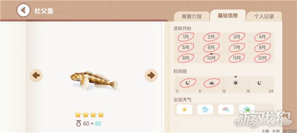 心动小镇鱼类图鉴钓鱼爱好者必备的详尽攻略