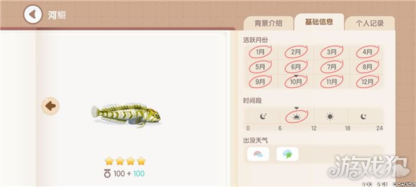 心动小镇鱼类图鉴钓鱼爱好者必备的详尽攻略