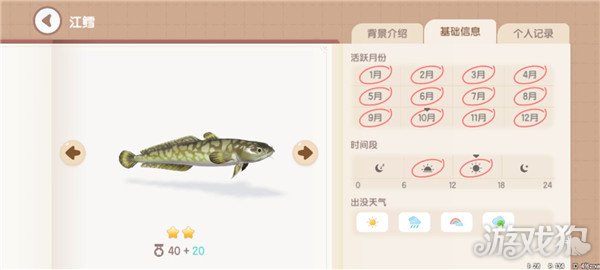 心动小镇鱼类图鉴钓鱼爱好者必备的详尽攻略