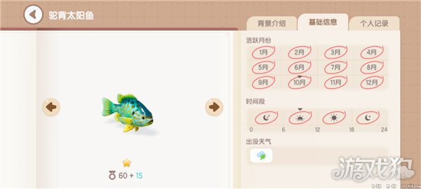 心动小镇鱼类图鉴钓鱼爱好者必备的详尽攻略