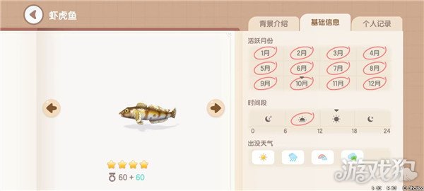 心动小镇鱼类图鉴钓鱼爱好者必备的详尽攻略
