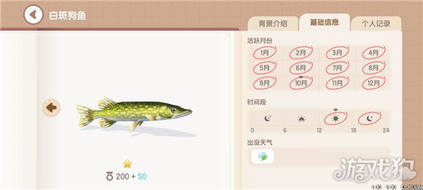 心动小镇鱼类图鉴钓鱼爱好者必备的详尽攻略