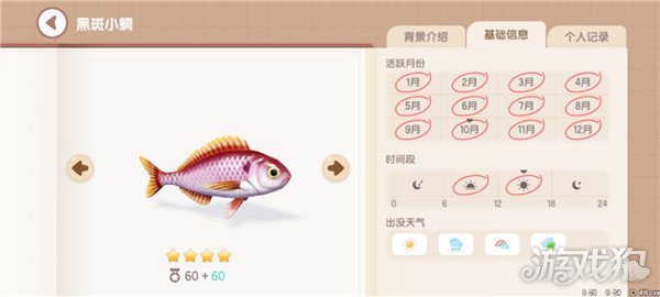 心动小镇鱼类图鉴钓鱼爱好者必备的详尽攻略