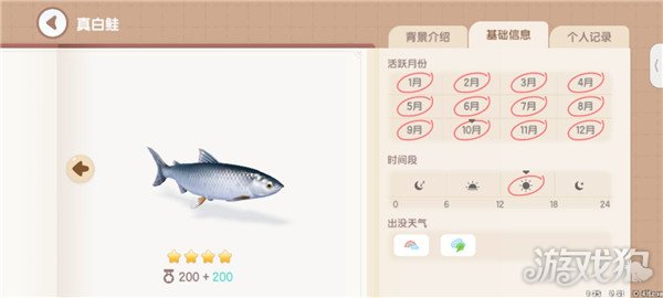 心动小镇鱼类图鉴钓鱼爱好者必备的详尽攻略