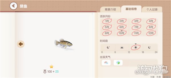 心动小镇鱼类图鉴钓鱼爱好者必备的详尽攻略