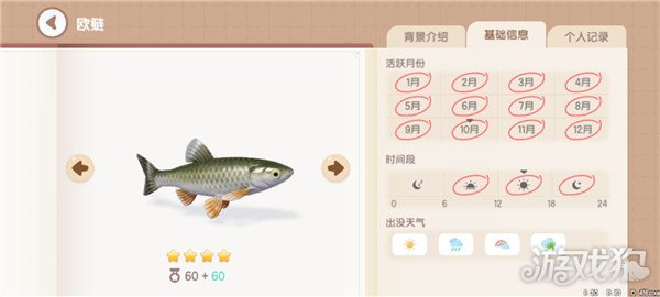 心动小镇鱼类图鉴钓鱼爱好者必备的详尽攻略