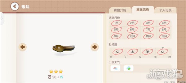 心动小镇鱼类图鉴钓鱼爱好者必备的详尽攻略