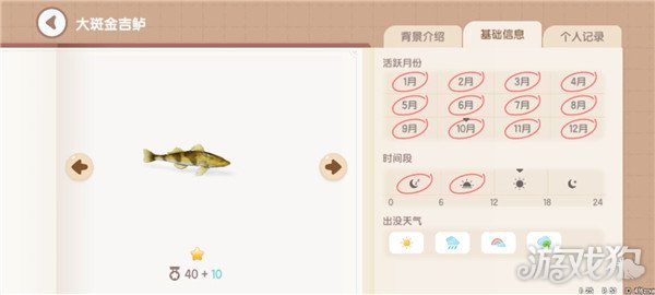 心动小镇鱼类图鉴钓鱼爱好者必备的详尽攻略