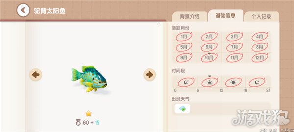 心动小镇鱼类图鉴钓鱼爱好者必备的详尽攻略