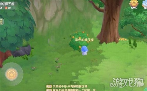 摩尔庄园手游橙色浆果获取位置大揭秘