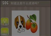 疯狂猜成语狗旁两柿子，这个成语你能想到吗？