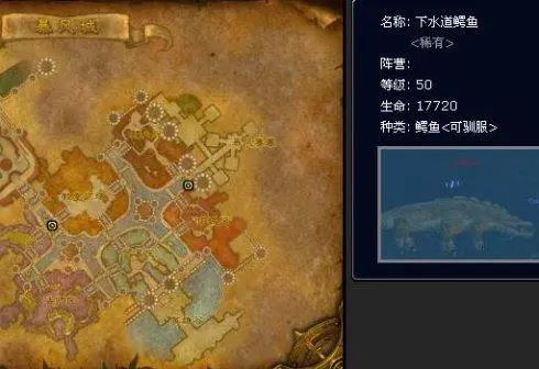 魔兽世界WLK怀旧服猎人稀有宠物位置及宝宝大全