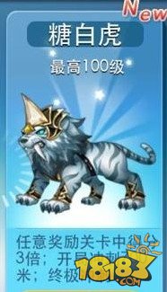 天天酷跑糖白虎与星星猫属性对比，哪个更胜一筹？