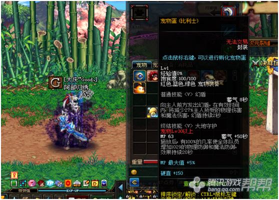 DNF特别宠物礼盒开启惊喜，宠物伙伴等你来领