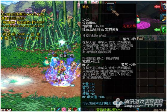 DNF特别宠物礼盒开启惊喜，宠物伙伴等你来领