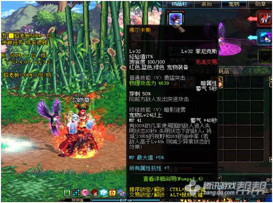 DNF特别宠物礼盒开启惊喜，宠物伙伴等你来领