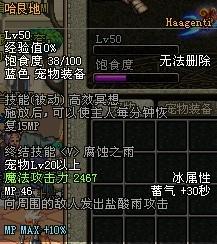 DNF宠物全解析各类宠物属性详细介绍