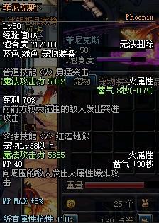 DNF宠物全解析各类宠物属性详细介绍