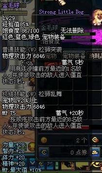 DNF宠物全解析各类宠物属性详细介绍