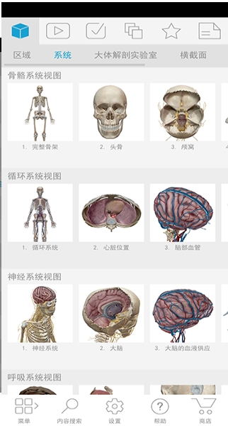 人体解剖学图谱2025