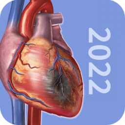 3D生理和病理学2025