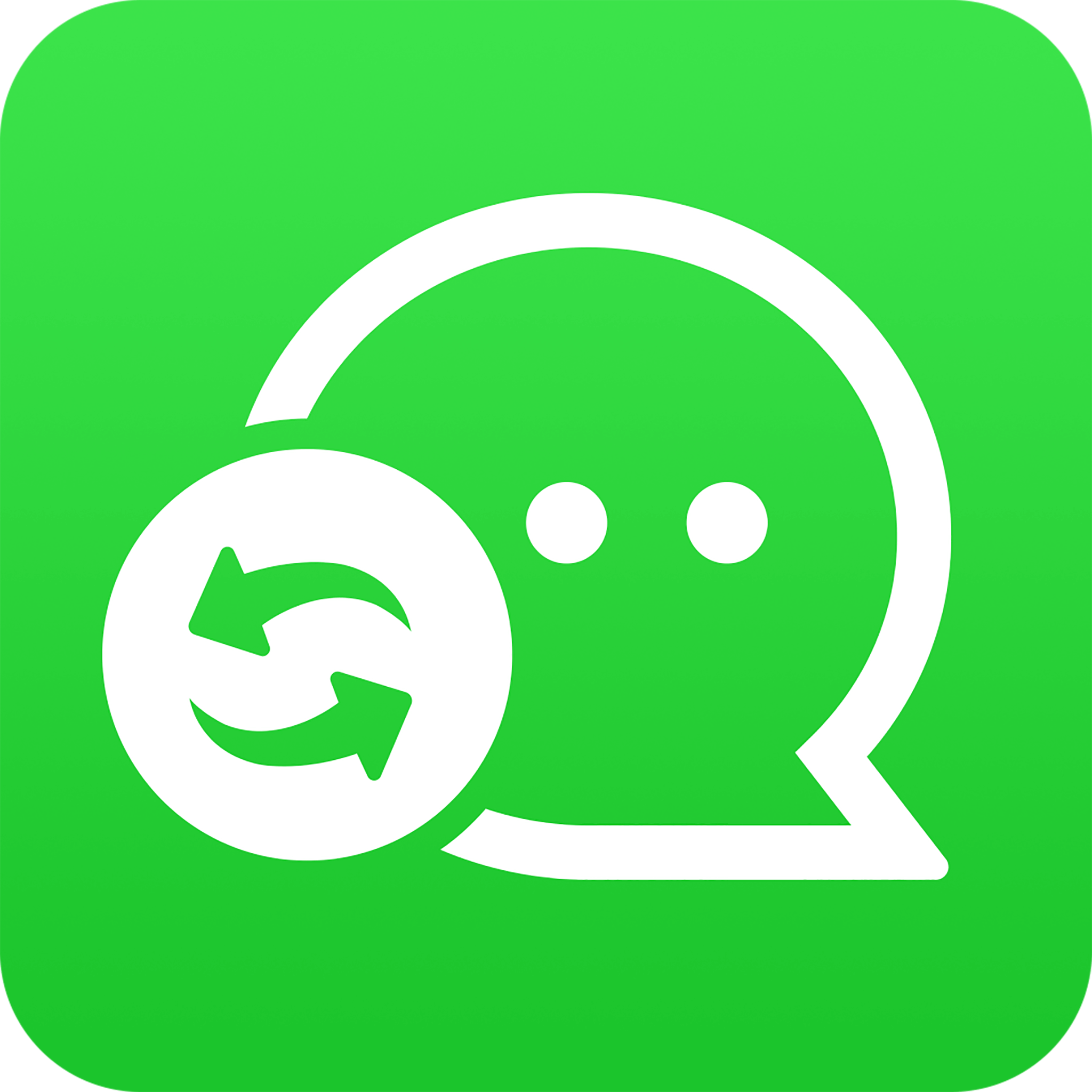 微恢复大师免费版