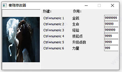 秦殇修改器