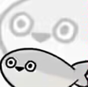 虚无鱼安卓版app