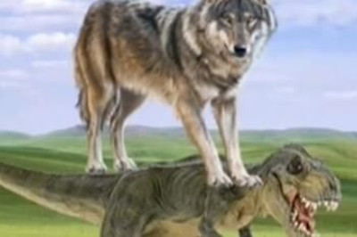 恐龙扛狼盒(免广告版)